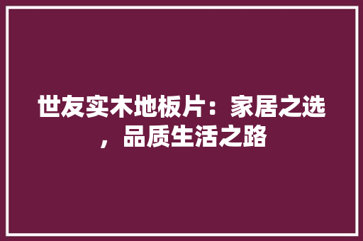 世友实木地板片：家居之选，品质生活之路 家居装修
