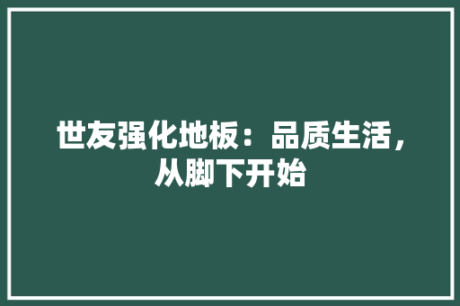 世友强化地板：品质生活，从脚下开始 家居装修