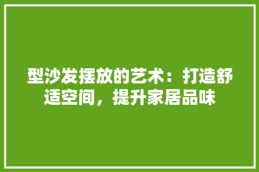 型沙发摆放的艺术：打造舒适空间，提升家居品味 现代风格装饰
