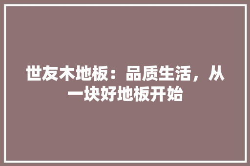 世友木地板：品质生活，从一块好地板开始 家居装修