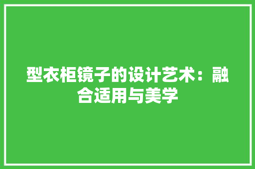 型衣柜镜子的设计艺术：融合适用与美学