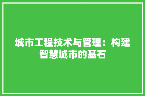 城市工程技术与管理：构建智慧城市的基石 现代风格装饰