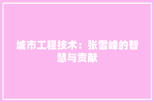 城市工程技术：张雪峰的智慧与贡献