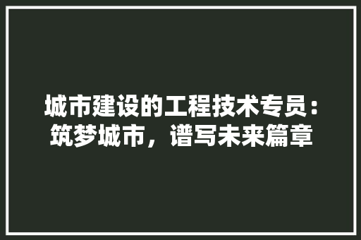 城市建设的工程技术专员：筑梦城市，谱写未来篇章 现代风格装饰