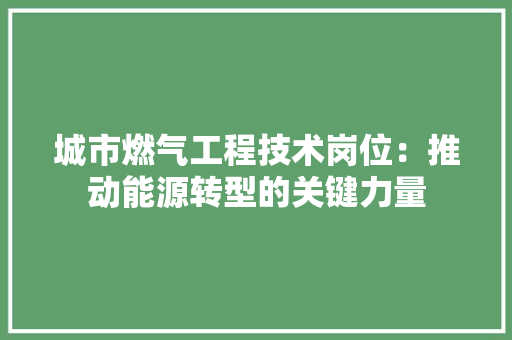 城市燃气工程技术岗位：推动能源转型的关键力量 现代风格装饰