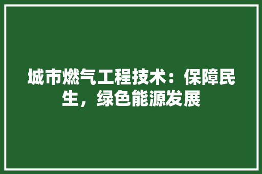 城市燃气工程技术：保障民生，绿色能源发展 现代风格装饰