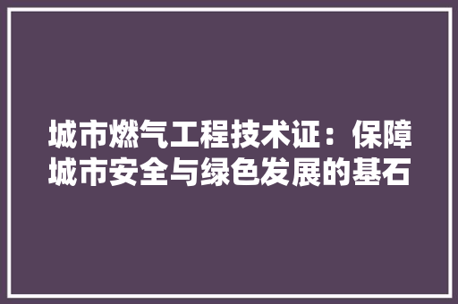 城市燃气工程技术证：保障城市安全与绿色发展的基石 现代风格装饰