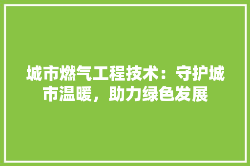 城市燃气工程技术：守护城市温暖，助力绿色发展 现代风格装饰