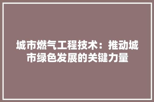 城市燃气工程技术：推动城市绿色发展的关键力量 现代风格装饰