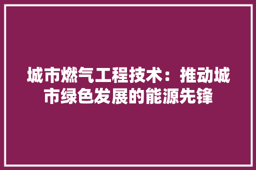 城市燃气工程技术：推动城市绿色发展的能源先锋 现代风格装饰