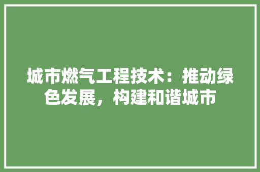 城市燃气工程技术：推动绿色发展，构建和谐城市 现代风格装饰