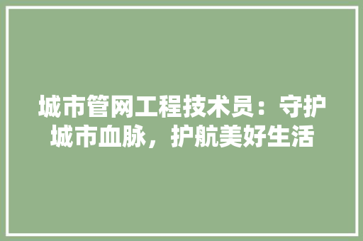 城市管网工程技术员：守护城市血脉，护航美好生活 现代风格装饰
