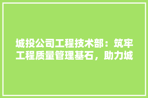 城投公司工程技术部：筑牢工程质量管理基石，助力城市发展腾飞 现代风格装饰