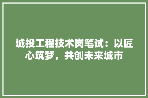 城投工程技术岗笔试：以匠心筑梦，共创未来城市 现代风格装饰