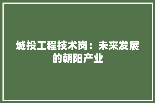 城投工程技术岗：未来发展的朝阳产业 现代风格装饰