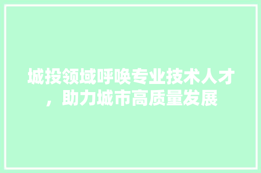 城投领域呼唤专业技术人才，助力城市高质量发展 现代风格装饰