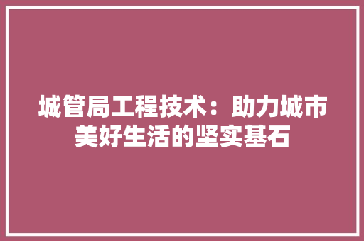 城管局工程技术：助力城市美好生活的坚实基石 现代风格装饰