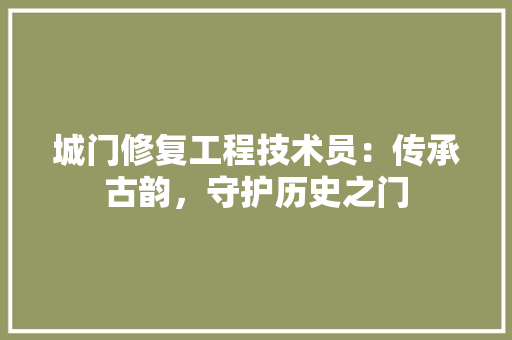 城门修复工程技术员：传承古韵，守护历史之门 现代风格装饰