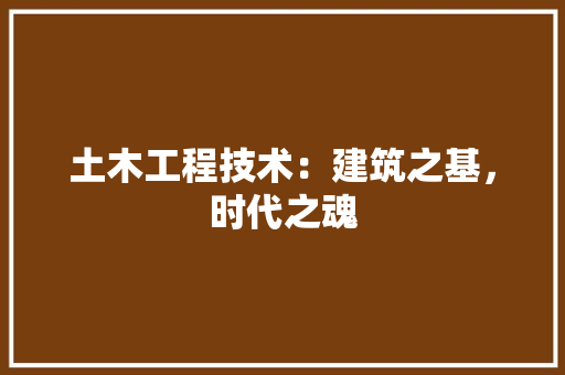 土木工程技术：建筑之基，时代之魂 现代风格装饰