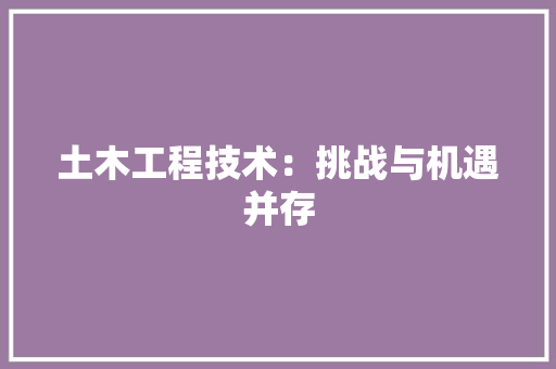 土木工程技术：挑战与机遇并存 现代风格装饰