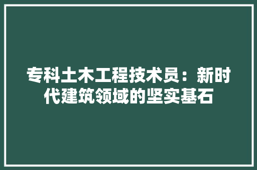 专科土木工程技术员：新时代建筑领域的坚实基石 家居装修