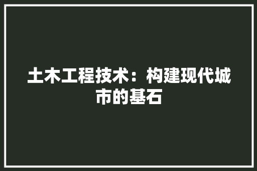 土木工程技术：构建现代城市的基石 现代风格装饰