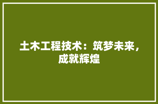 土木工程技术：筑梦未来，成就辉煌 现代风格装饰