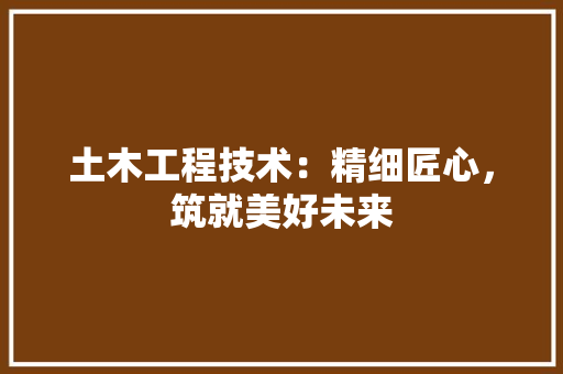 土木工程技术：精细匠心，筑就美好未来 现代风格装饰