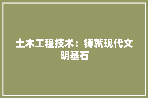 土木工程技术：铸就现代文明基石 现代风格装饰