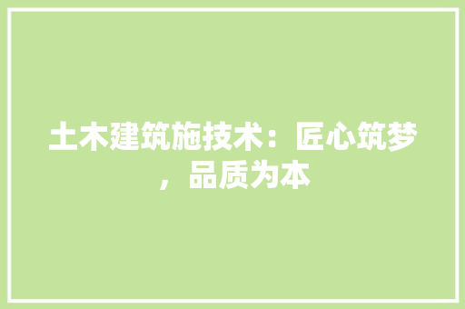土木建筑施技术：匠心筑梦，品质为本 现代风格装饰