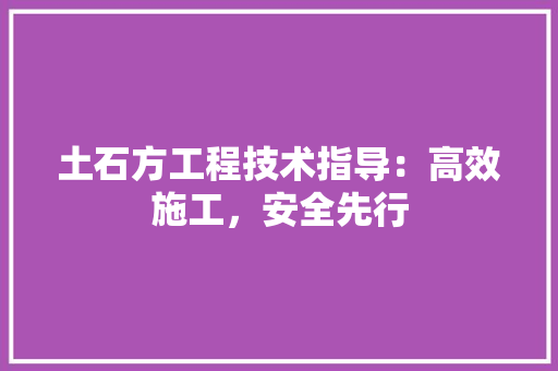 土石方工程技术指导：高效施工，安全先行 现代风格装饰