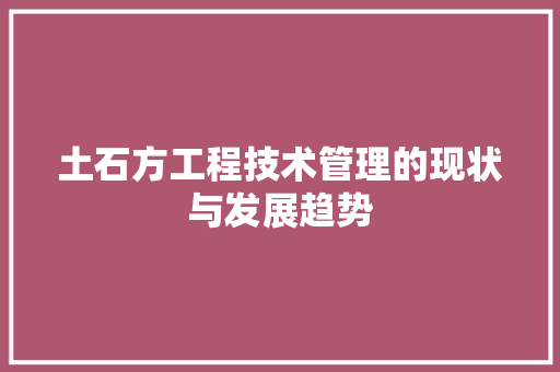 土石方工程技术管理的现状与发展趋势 现代风格装饰