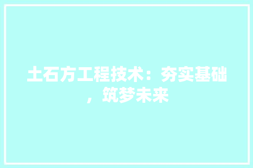 土石方工程技术：夯实基础，筑梦未来 现代风格装饰