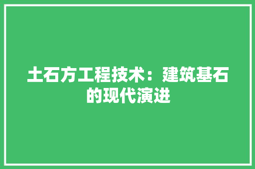 土石方工程技术：建筑基石的现代演进 现代风格装饰