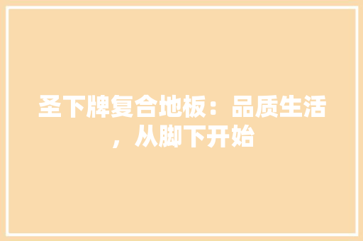 圣下牌复合地板：品质生活，从脚下开始 现代风格装饰