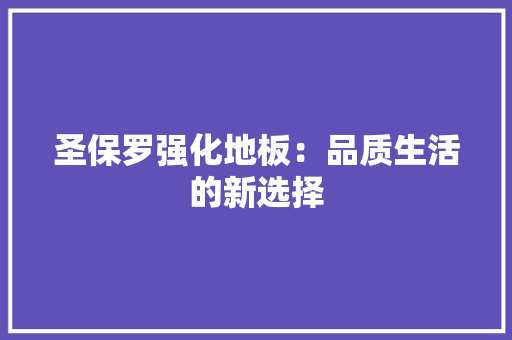 圣保罗强化地板：品质生活的新选择 现代风格装饰