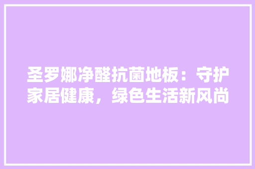 圣罗娜净醛抗菌地板：守护家居健康，绿色生活新风尚 现代风格装饰