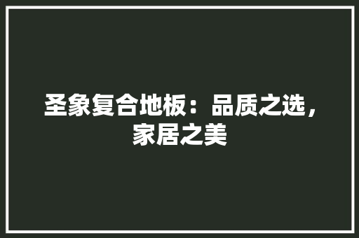 圣象复合地板：品质之选，家居之美 现代风格装饰