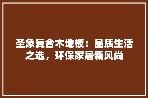 圣象复合木地板：品质生活之选，环保家居新风尚 现代风格装饰