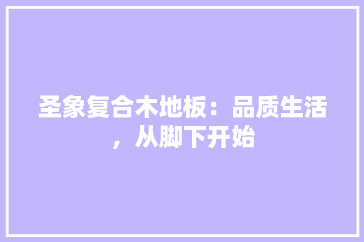 圣象复合木地板：品质生活，从脚下开始 现代风格装饰