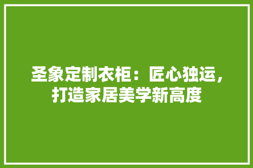 圣象定制衣柜：匠心独运，打造家居美学新高度 现代风格装饰