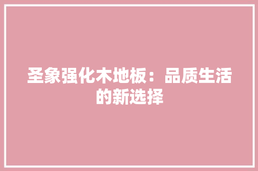 圣象强化木地板：品质生活的新选择 现代风格装饰