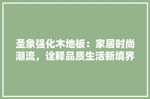 圣象强化木地板：家居时尚潮流，诠释品质生活新境界 现代风格装饰