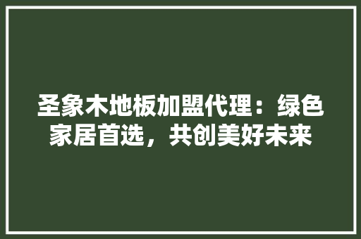 圣象木地板加盟代理：绿色家居首选，共创美好未来 现代风格装饰