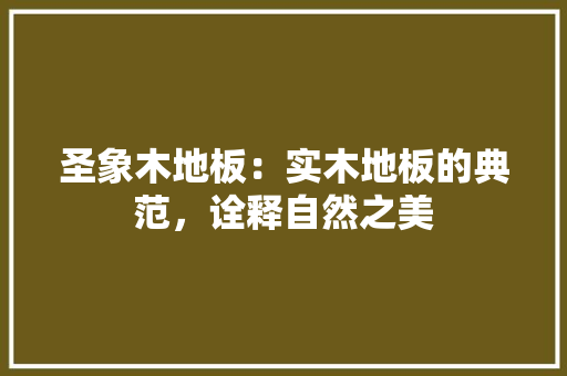 圣象木地板：实木地板的典范，诠释自然之美 现代风格装饰