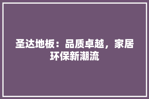 圣达地板：品质卓越，家居环保新潮流 现代风格装饰