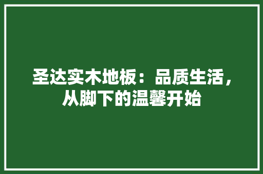 圣达实木地板：品质生活，从脚下的温馨开始 现代风格装饰