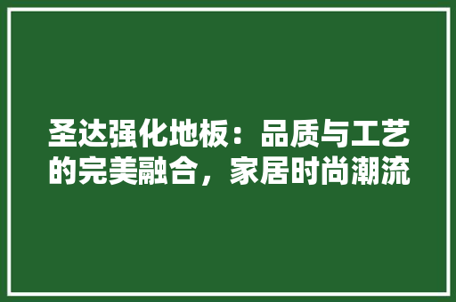 圣达强化地板：品质与工艺的完美融合，家居时尚潮流 现代风格装饰