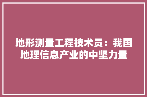 地形测量工程技术员：我国地理信息产业的中坚力量 现代风格装饰