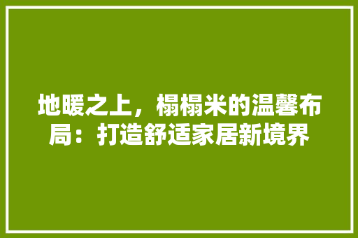 地暖之上，榻榻米的温馨布局：打造舒适家居新境界 现代风格装饰